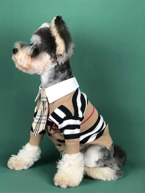 burberry inspired dog clothes